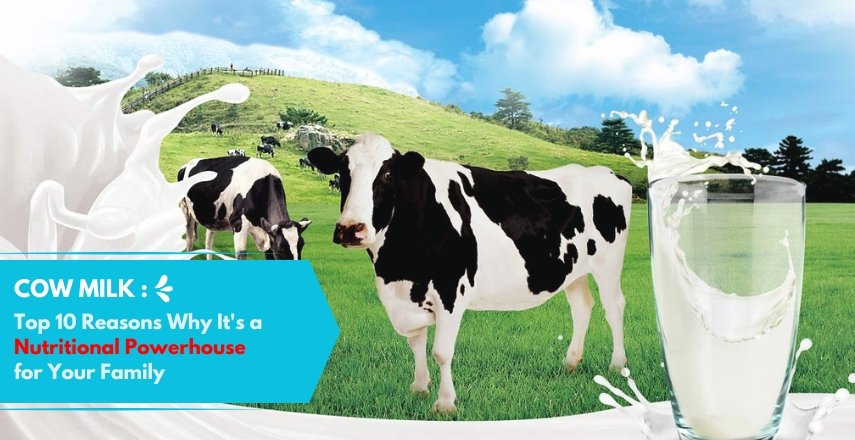 Cow Milk Top 10 Reasons Why It’s a Nutritional Powerhouse for Your Family